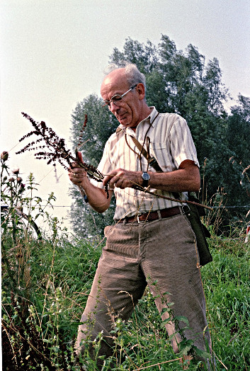 Albert Groot